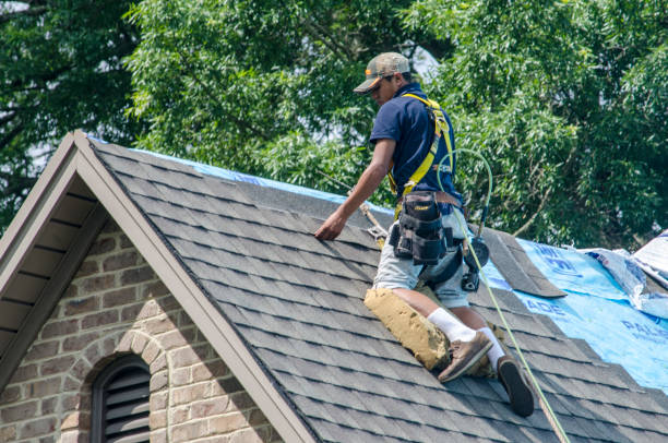 Best Storm Damage Roof Repair  in Charleston, MO